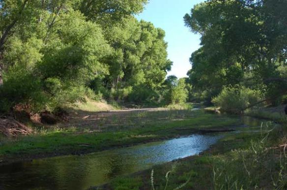 San Pedro River